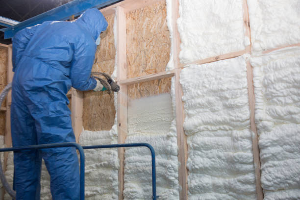 Types of Insulation We Offer in Bithlo, FL